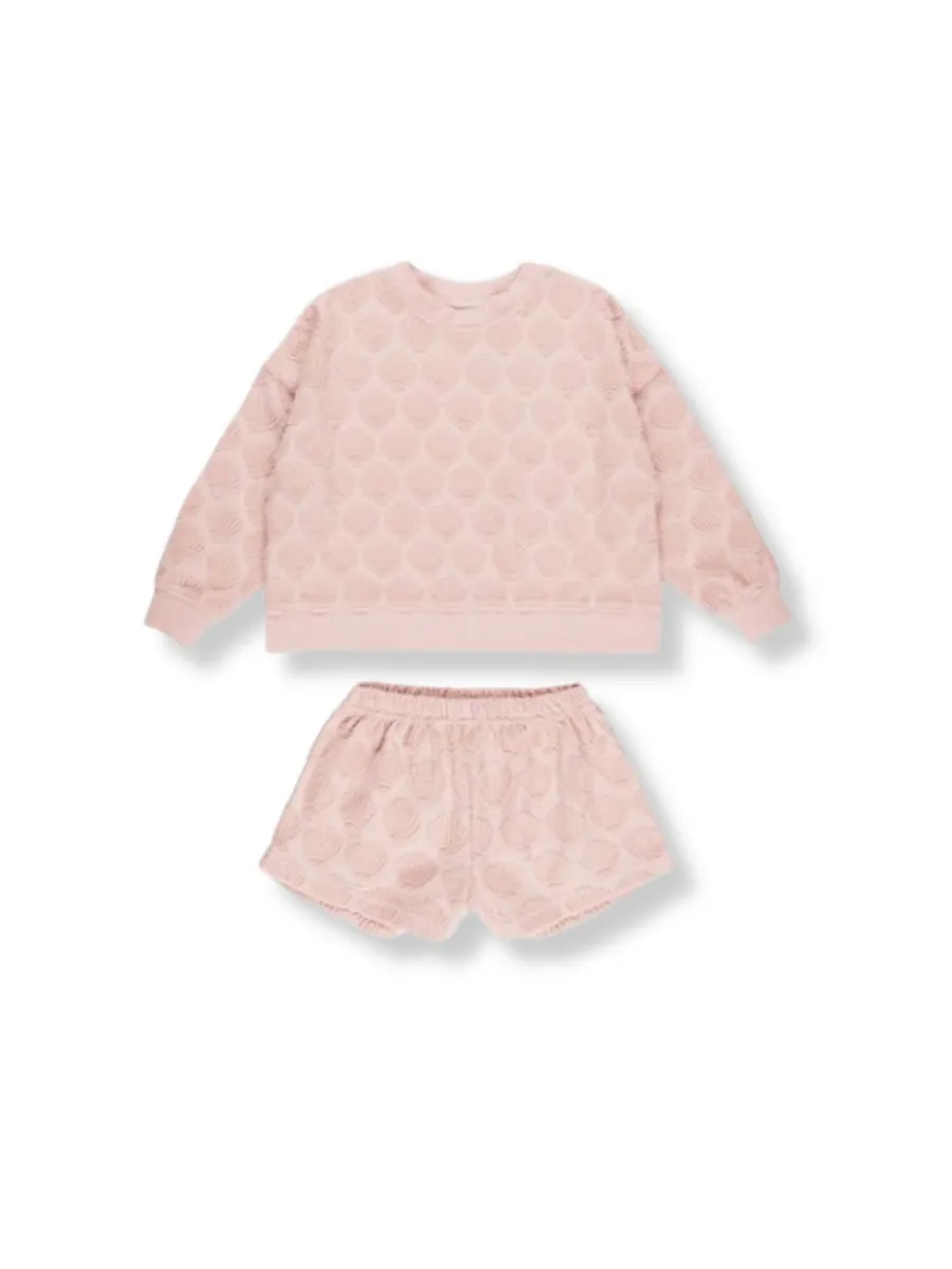 Karli Set Shells